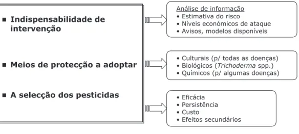 Fig. 2 – Tomada de decisão (Amaro, 2001) *