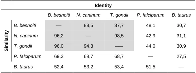 Table 2. Identity and similarity levels of PDI from B. besnoiti, N. caninum, T. gondii, P