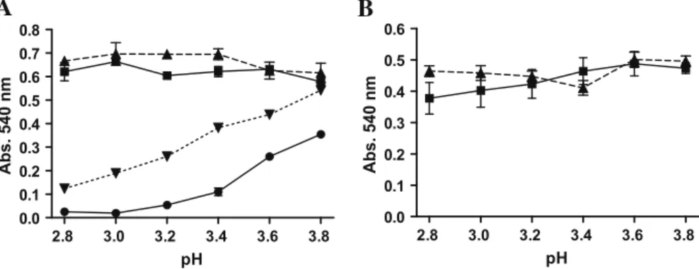 Fig. 2. (A) Heat stability tests of isolated Arinto wine proteins dissolved in water (- - - 