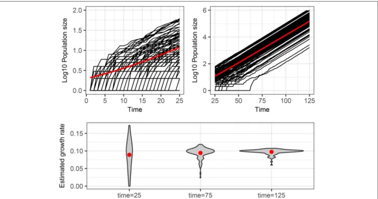FIGURE 1 | Stochastic realizations of a pure birth process and distributions of deterministic estimation of the growth rate at different times