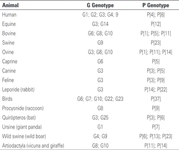 Table 1. Summary of distribution of Group A rotavirus strains that usually infect  humans and animals