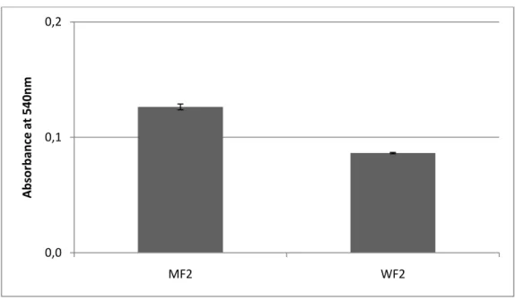 Fig. 12 - Changes in turbidity (detecting by measuring the absorbance at 540 nm) observed after heat  stability test performed to the methanol fraction (MF2) and water fraction (WF2) obtained after the  fractionation of the methanolic extract in a RP18 chr