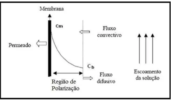 Figura 04 – Representação do efeito de polarização de concentração. Adaptada de BAKER (2004)