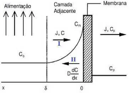 Figura  06  –  Ilustração  mostrando  o  efeito  da  concentração  de  polarização  e  as  principais  variáveis  envolvidas em uma membrana de ultrafiltração