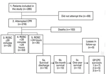 Figure 1. Flowchart of patients in the study