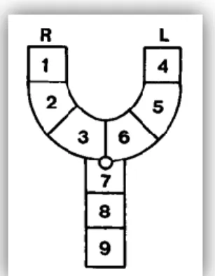 Figura 6 . Representação simbólica Pfeifer (1966). 63     Figura 7. Representação simbólica Kernahan  (1971) 63 