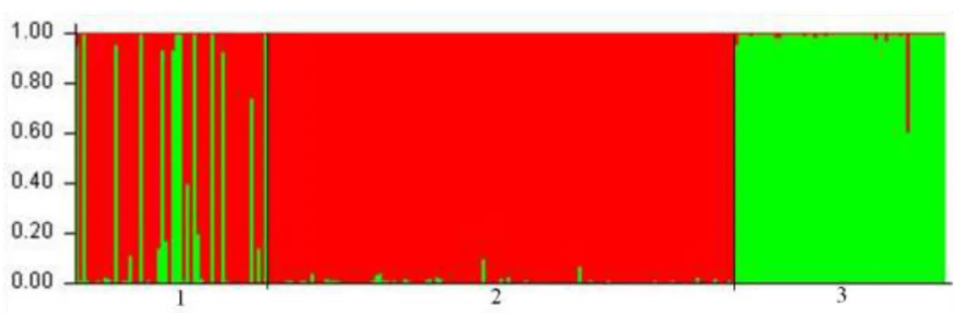 Figure  5:  Bayesian  analysis  shows  that  the  probability  of  membership  of  individuals  in  the  wolf  (green)  and  dog  (red)  populations  determined  by  the  Structure  2.3.4  software