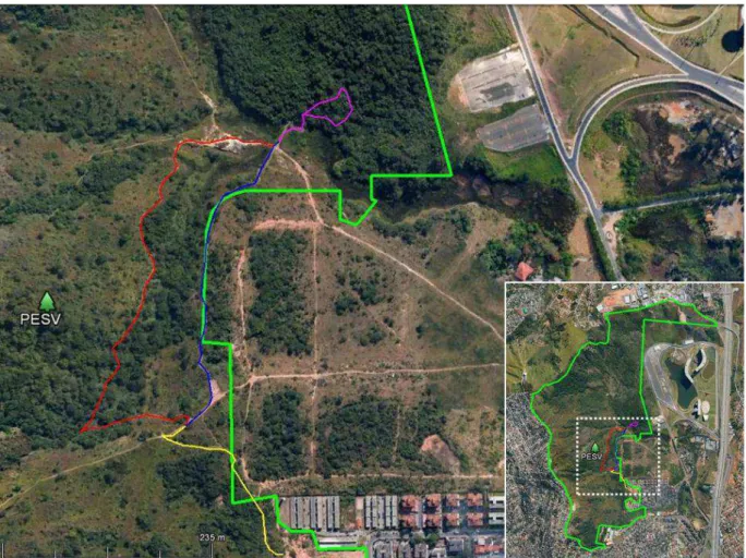 Figure 1  – Ecological trails of PESV: the Trilha do Curiango (red), the Trilha do Pica-Pau (blue), the Trilha da  Mata (pink); the Trilha do Estacionamento (yellow); park boundaries (green)