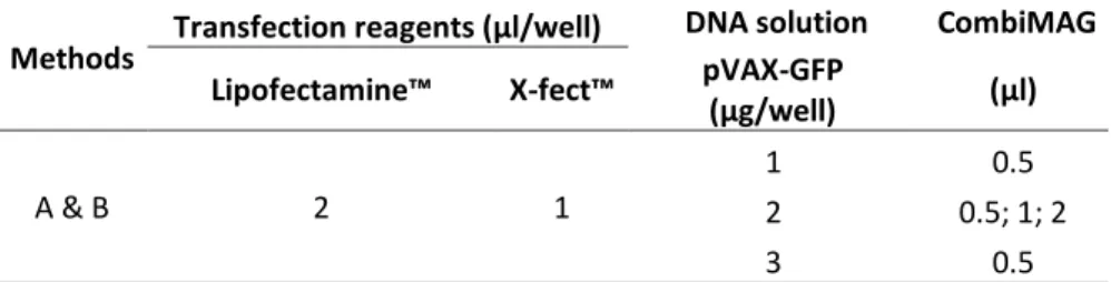 Table 1: DNA, transfection reagents (Lipofectamine and X-fect) and CombiMAG amounts used in transfection  experiments, for both methods A and B