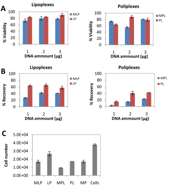 Figure 9: Effect of lipoplexes, poliplexes and pDNA amount on BM-MSC 
