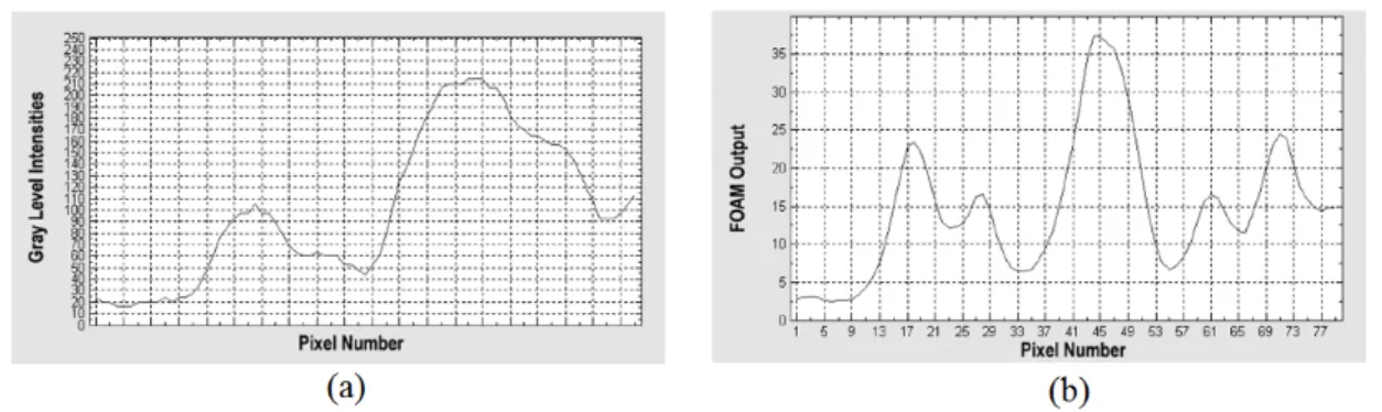 Fig. 2.3: Typical intensity prole after and before using FOAM operator: (a) typical intensity prole of a ROI column; (b) intensity prole of the same column after the ltering process with the FOAM operator [Faita et al., 2008].