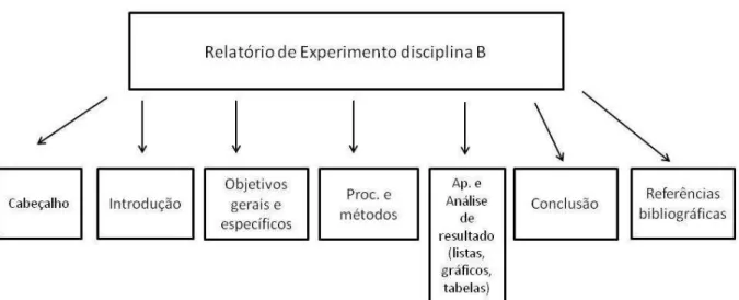 FIGURA 4: Tipo de relatório de experimento produzido na disciplina B. Elaboração da pesquisadora