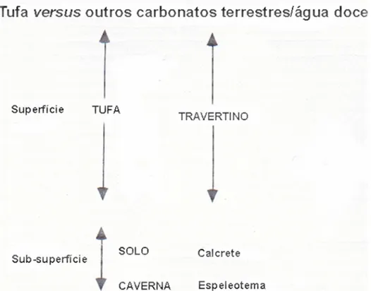 Figura  3  -  Esquema  comparativo  entre  tufa  e  outros  carbonatos  continentais  de  água  doce