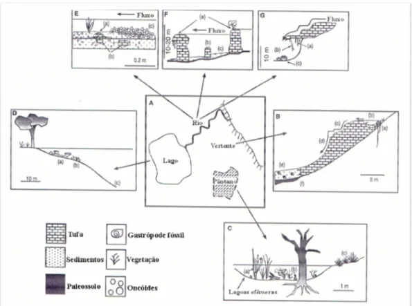 Figura 4 - Ambiente de sedimentação das tufas (Carthew et al., 2003).  