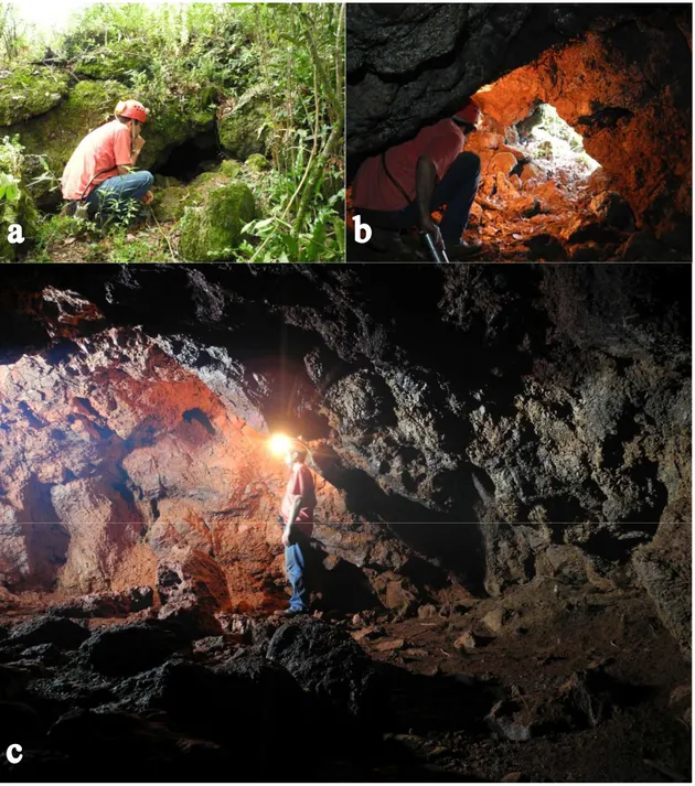 Figura 6.18 – Entrada da caverna Mata da Copasa (RM-38) vista de (a) fora para dentro e de (b)  dentro  para  fora