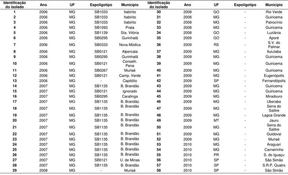 Tabela 3. Identificação dos isolados de  M. bovis analisados no estudo, ano de isolamento, localização geográfica, perfil de espoligotipo e  município de origem do animal
