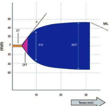 Figura 2. Parâmetros do tromboelastometria rotacional