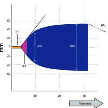 Figure 2. Rotational thromboelastometry parameters