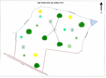 Figura 5.1: Simulação do método de amostragem do quadrante. 