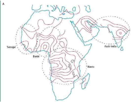 Figura 8 - Região de origem e abrangência dos três principais  haplótipos  S  africanos e  um asiático   