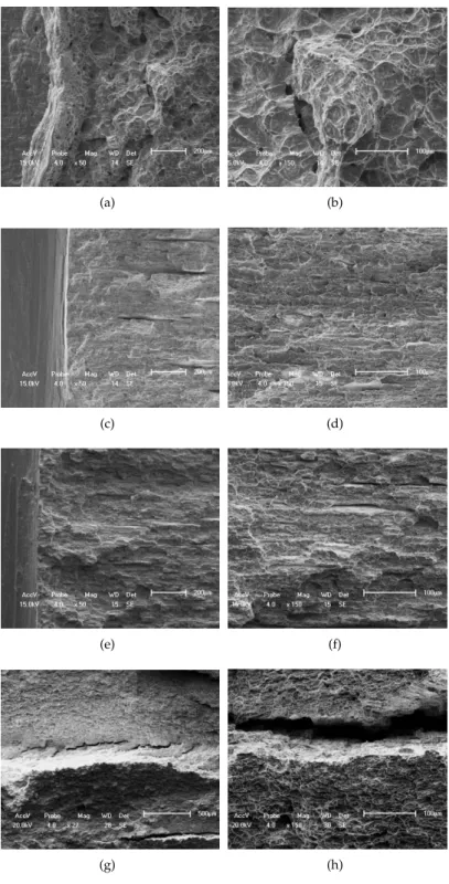 Figure 4. Fracture surface microstructures of the samples with different contents of sigma phase: