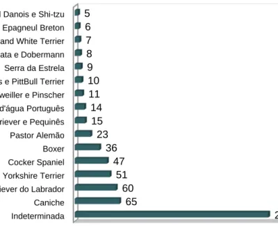 Gráfico 3: Raças de cães mais prevalentes, representadas por mais de 5 animais  (n=739)