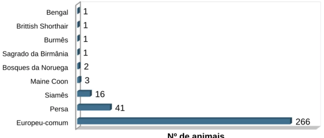 Gráfico 4: Distribuição das raças de felídeos observados durante o estágio curricular (n=332)  