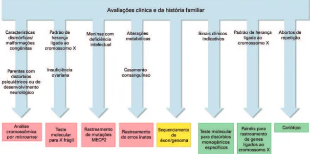 Figura 2. Aconselhamento genético no transtorno do espectro autista