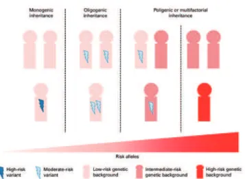 Figure 1. Inheritance patterns of autism spectrum disorder