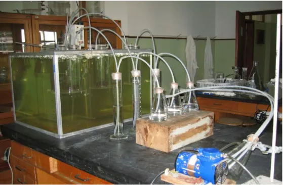 Figura 3.4 - Fotografia da instalação laboratorial usada na determinação do amoníaco volatilizado  da cama de aviário contida em reactores em banho termostatizado