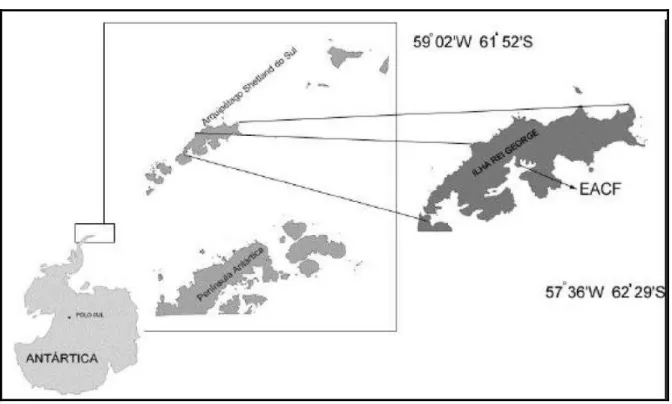 Figura 3.1: Mapa do Continente Antártico, destacando a Ilha Rei George e a península  Fildes, no Arquipélago das Ilhas Shetlands do Sul (Fonte: Francelino, 2004)  