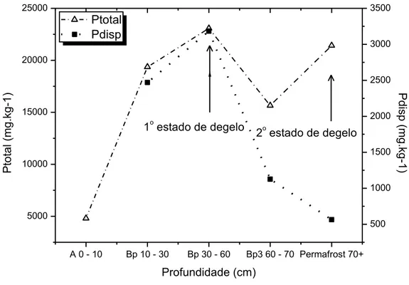 Figura 3.3: Variação da concentração de P total  e P disponivel  no perfil F16 