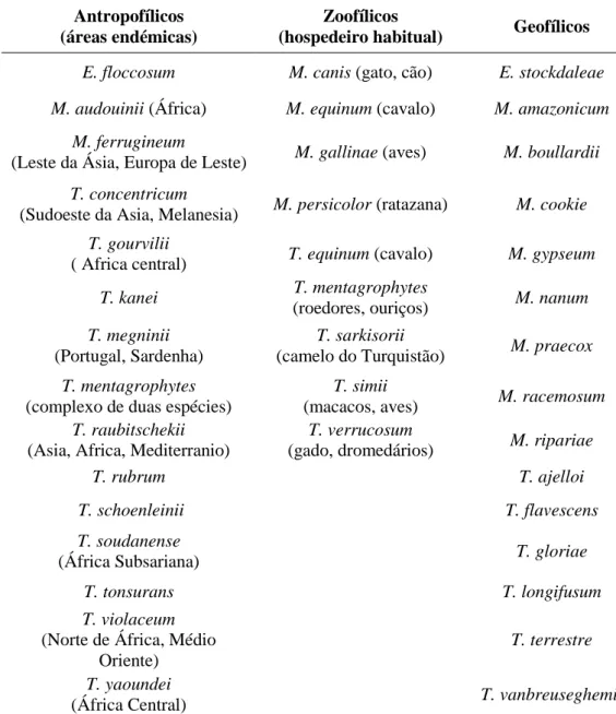 Tabela 2 – Sinopse actual das espécies de dermatófitos: classificação ecológica,  preferências de hospedeiro e endemecidade