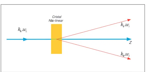Figura 2.1 : Um feixe de laser com vetor de onda k L e comprimento de onda ω