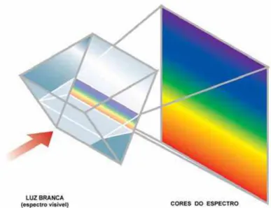 Figura 2-2  Espectro visível resultante da incidência da luz branca no prisma.  Fonte: AGFA, 1997, p
