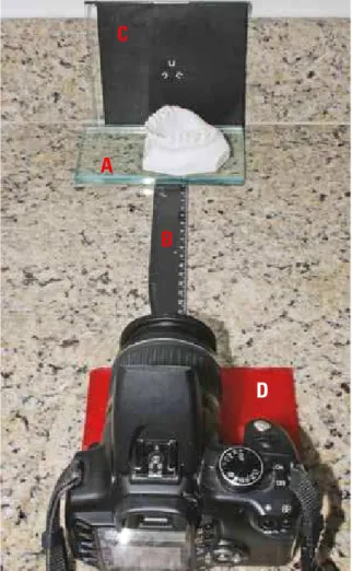 FIGURE 3 - Method used for standardizing photographic snapshots of the  plaster models: A= 10 mm glass plate, B= 20 cm millimeter ruler, C= black  plastic plate with mark indicating the center of the object (back sleeve of  a compact disc/CD), D= wax plate