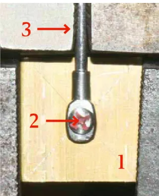 FIGURE 1 - Mini-implant prototype with suitable screw, in lateral view.