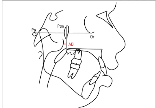FIGURE 2 - Schematic drawing of the second factor (D-AD1:PNS) repre- repre-sented by the red line.