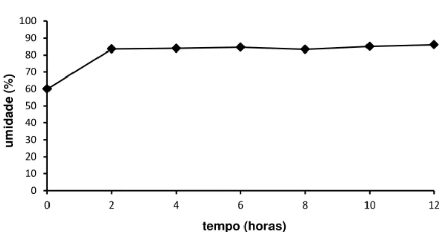 GRÁFICO  4 - Umidade em embriões de  B. capitata durante o período de embebição 