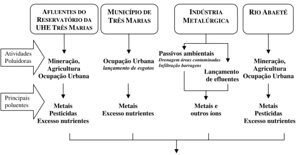 Figura 4.2: Representação esquemática das principais fontes de impacto para o  Rio São Francisco