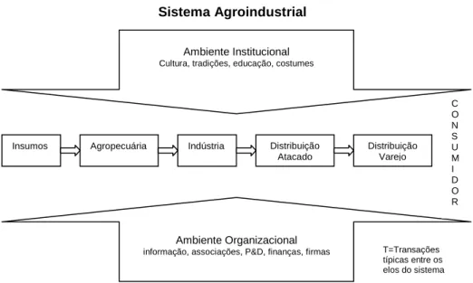 Figura 1 – Sistema agroindustrial e transações típicas 