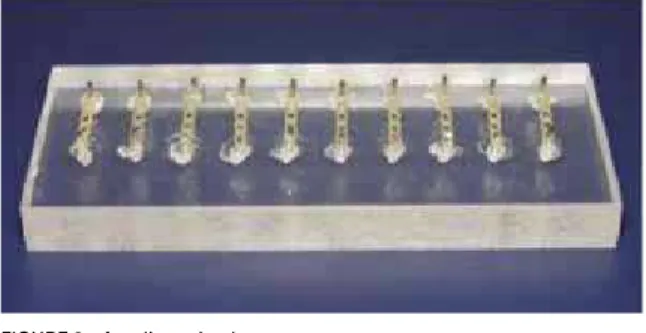 FIGURE 3 - Acrylic resin plate.