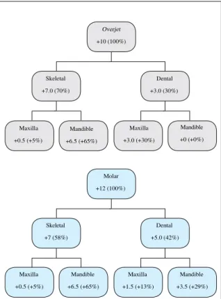 FIGURE 11 - Sagittal Occlusion Analysis.