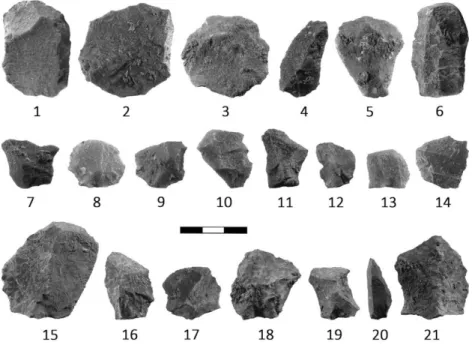 Figure 5. Levallois products from level IV. 1: Single straight scraper (quartzite); 2–5, 7–14: 