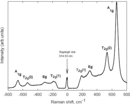Figura 3.3 Espectro Raman  da magnetita na forma bulk, com assinatura de simetria. Reproduzido  de  [153]