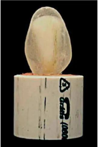 FIGURE 3 - Test sample finished.