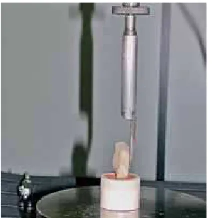 FIGURE 4 - Brackets bonded in vertical position. FIGURE 5, 6 - Shear bond strength tests.