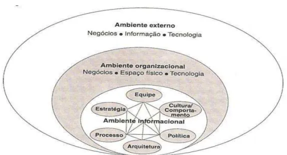 Figura 2: um modelo ecológico para o gerenciamento da informação. 