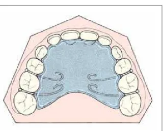 FIGURA 14 - Relação maxilomandibular como indicado pela analogia  do “pé e sapato”, de Körbitz 46 
