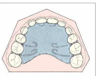 FIGURE 14 - Maxillomandibular relationship as indicated by the “foot  and shoe” analogy of Körbitz